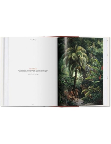 The book of palms (Nuevo)