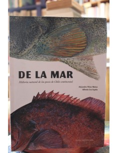 De la mar (Usado)