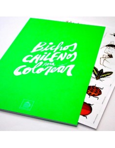 Bichos chilenos para colorear (Nuevo)