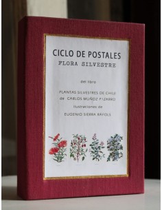 Set 50 postales Flora silvestre de Chile (Nuevo)