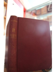 On Panta (Usado)