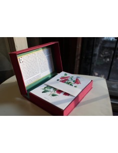 Set 50 postales Flora silvestre de Chile (Nuevo) 2