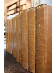 Aventuras de Tarzán (11 Libros) (Usado)