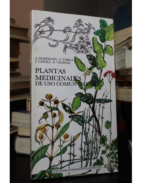 Plantas medicinales de uso común en Chile (Usado) Plantas medicinales de uso común en Chile (Usado)