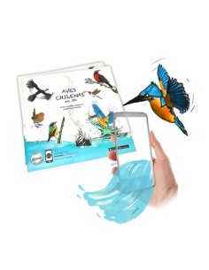 Aves chilenas en 3D (Nuevo)