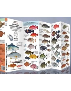 Peces marinos del norte y centro de Chile (Nuevo)