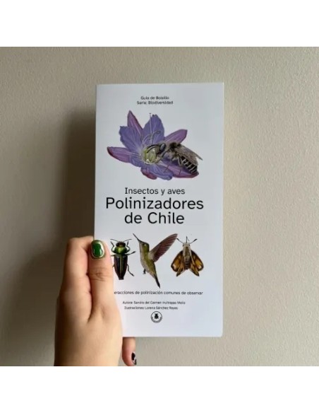 Polinizadores de Chile guía desplegable (Nuevo)