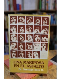 Una mariposa en el asfalto (Usado)