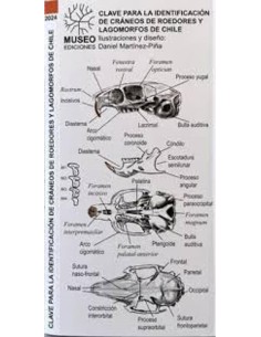 Identificación de cráneos de roedores (Nuevo)