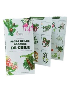 Flora de los bosques de Chile (Nuevo)