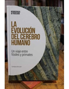 La evolución del cerebro humano (Usado)