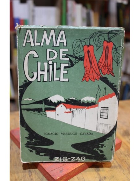 Alma de Chile (Usado)