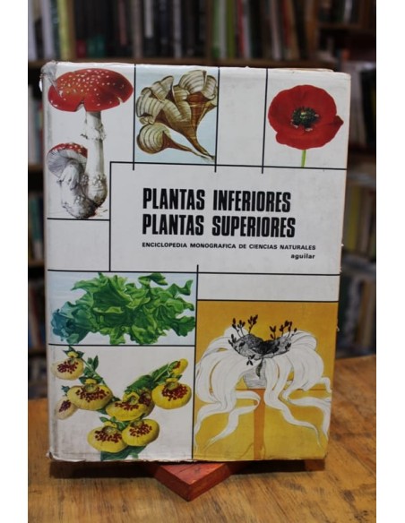 Plantas inferiores, plantas superiores (Usado) Plantas inferiores, plantas superiores (Usado)