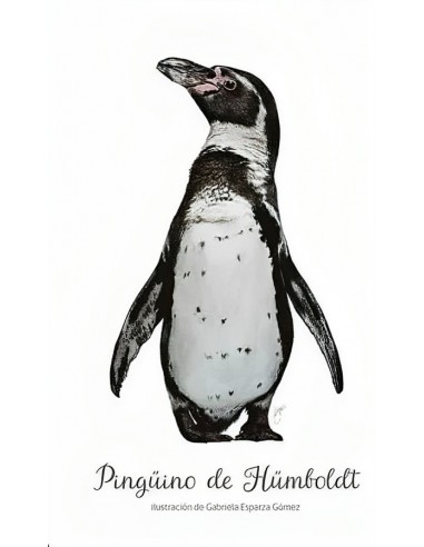 Cuadernos de Viaje (Pingüino de...